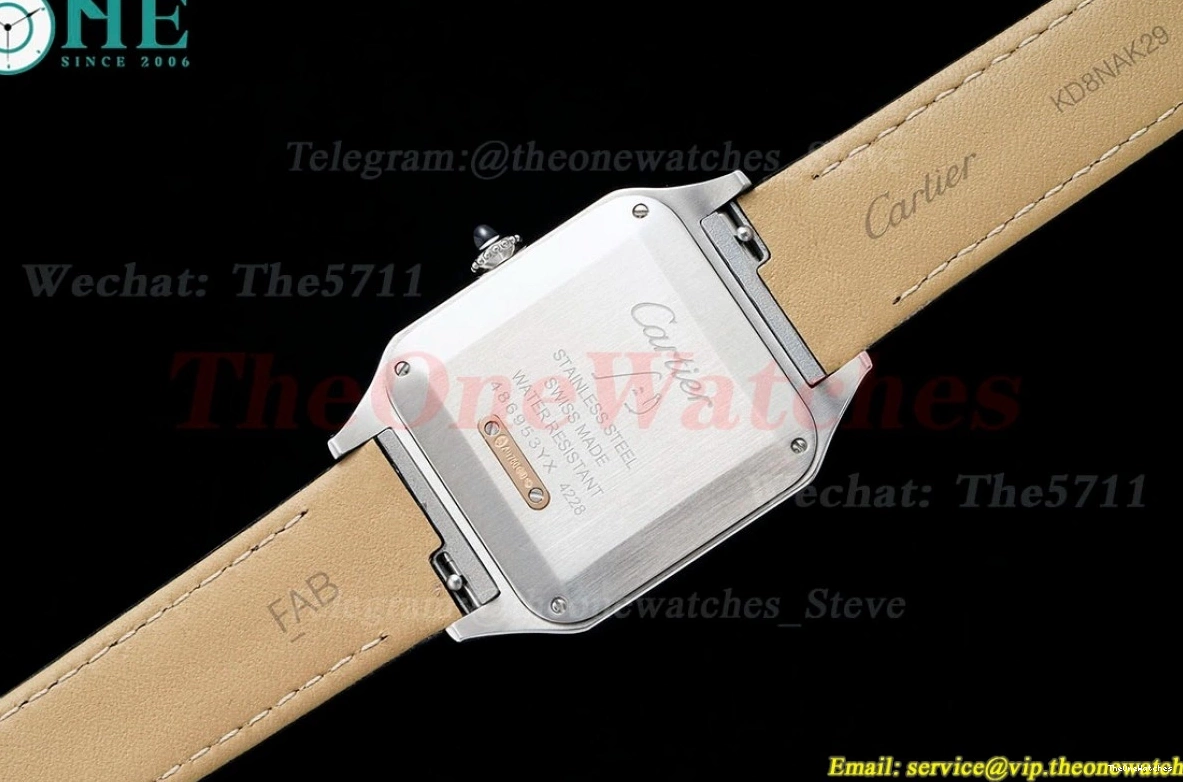 Dial Dumont Quartz Silver Santos Black AF LE RG 0204